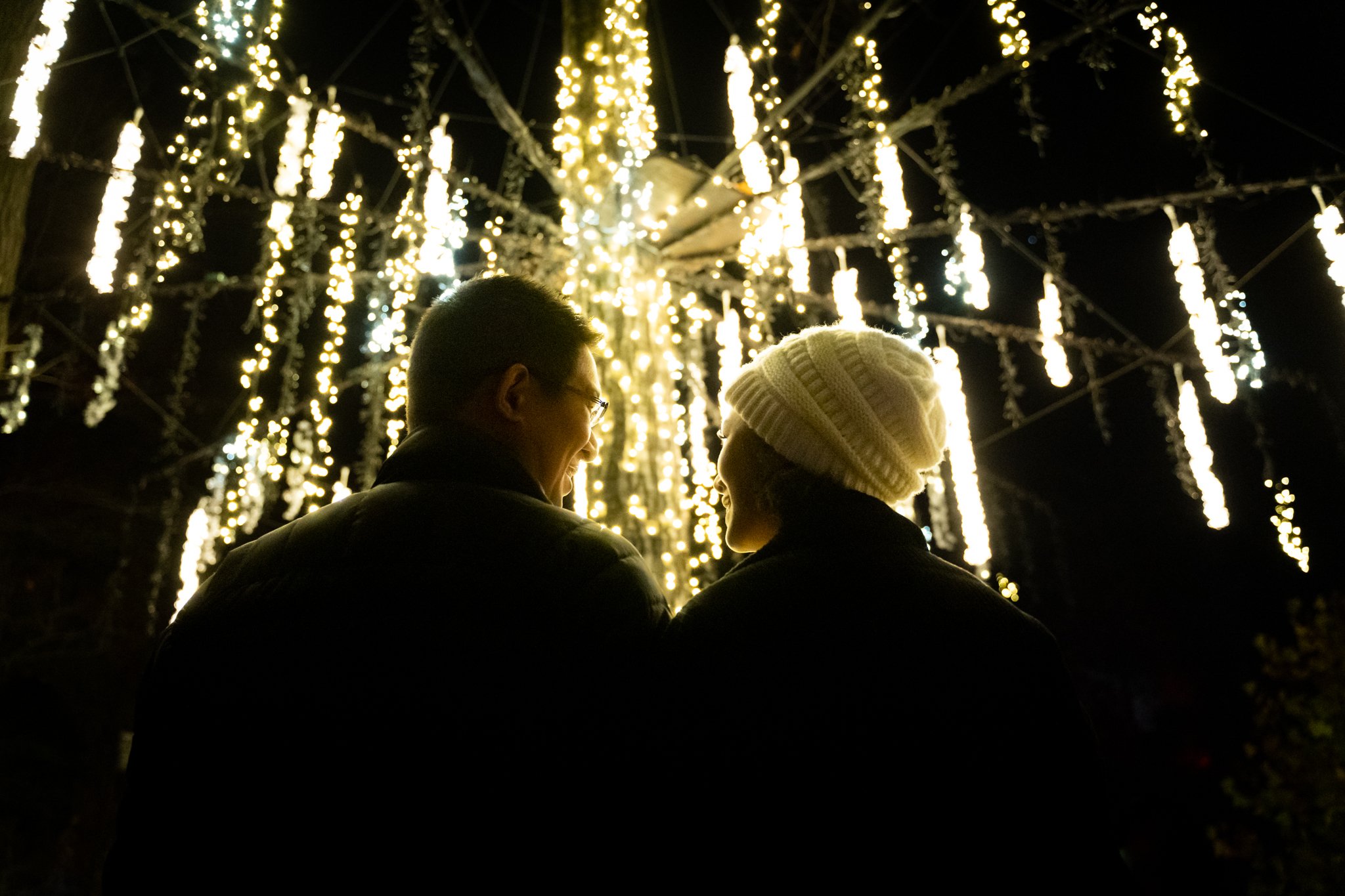 Winter Wonderlights del Centro de Ciencias de Greensboro: La fiesta de luces que ya es tradición en la ciudad Winter Wonderlights del Centro de Ciencias de Greensboro: La fiesta de luces que ya es tradición en la ciudad
