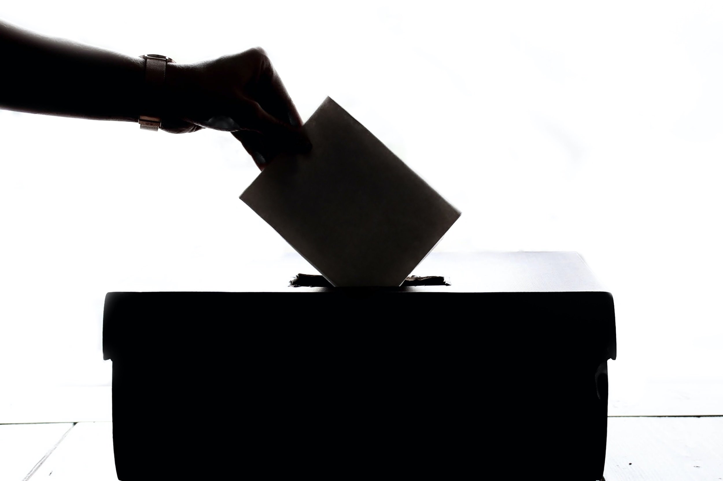 Carolina del Norte: 27 candidatos latinos esperan ser elegidos para representar a su comunidad en estas elecciones intermedias Carolina del Norte: 27 candidatos latinos esperan ser elegidos para representar a su comunidad en estas elecciones intermedias