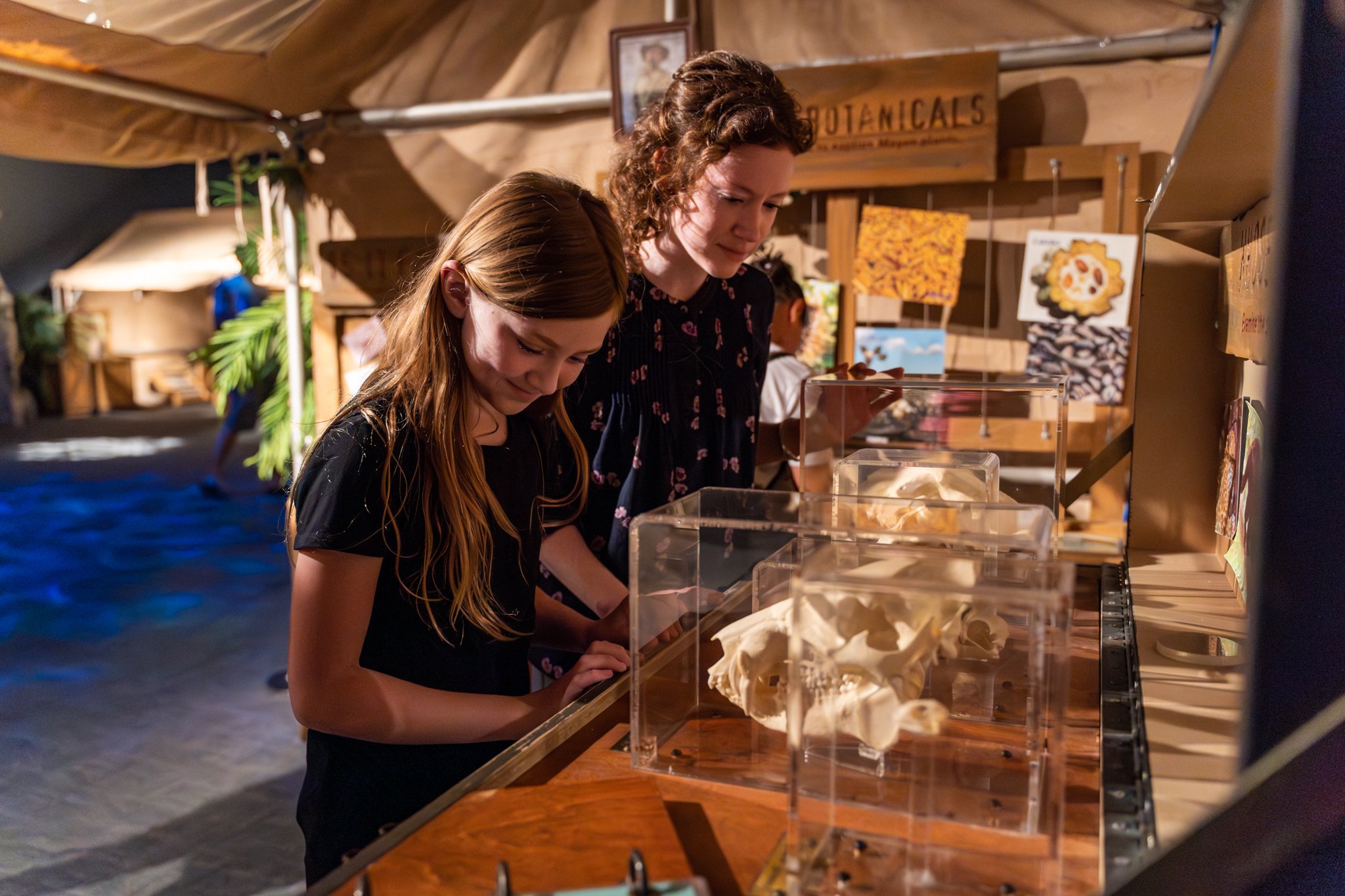 Centro de Ciencias de Greensboro: Una combinación única de Museo, Zoológico y Acuario que atrae a miles de visitantes cada año Centro de Ciencias de Greensboro: Una combinación única de Museo, Zoológico y Acuario que atrae a miles de visitantes cada año