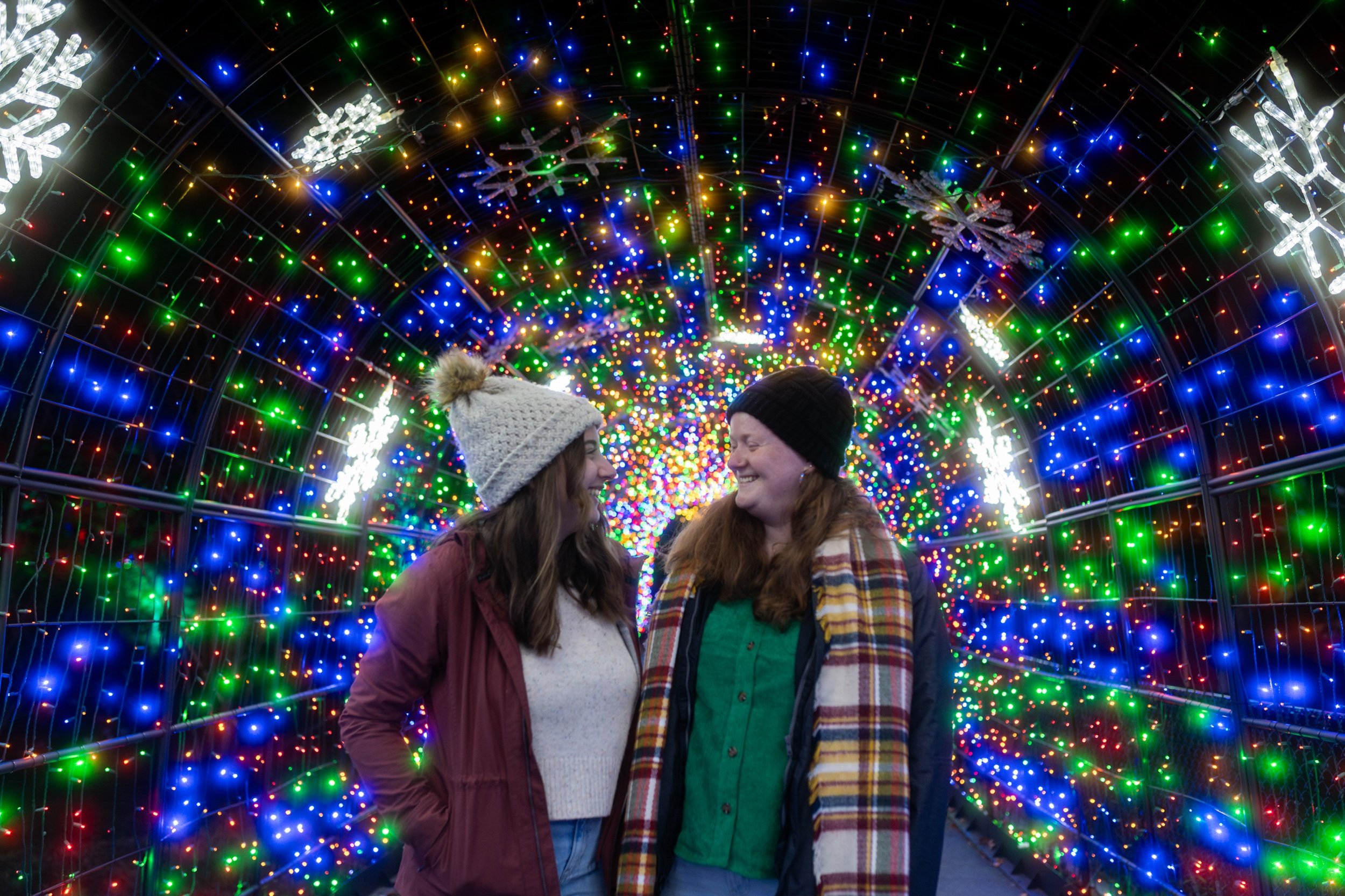 Nuevas atracciones este año en la emblemática fiesta de luces Winter Wonderlights del Centro de Ciencias de Greensboro Nuevas atracciones este año en la emblemática fiesta de luces Winter Wonderlights del Centro de Ciencias de Greensboro