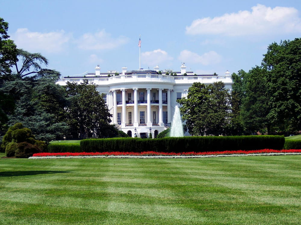 Cambios en la política de Estados Unidos: Trump elige compañero de fórmula, Biden renuncia a la candidatura y surge la figura de Kamala Harris Trump Harris
