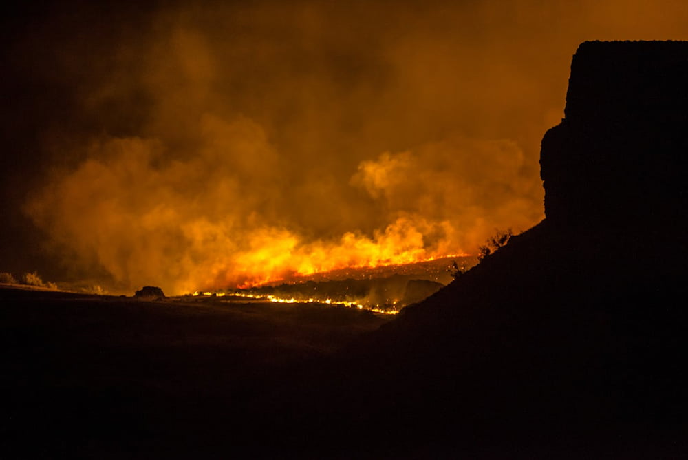 Sudamérica en llamas: sequía, incendios y una crisis climática sin precedentes Forest Fire