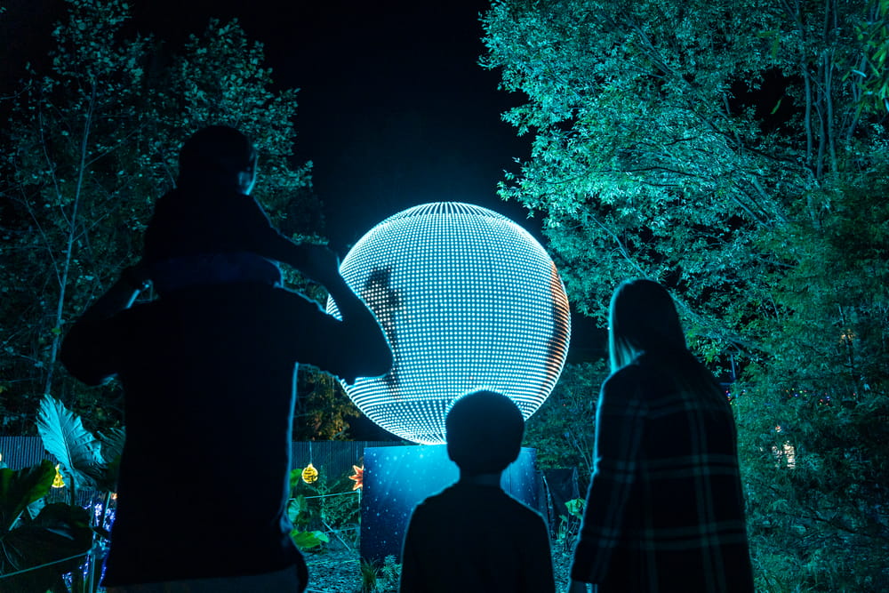 Nuevos colores y luces en movimiento este año con Winter Wonderlights Wionderlights Family