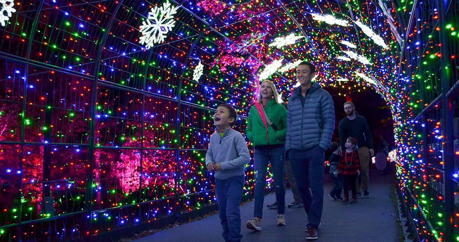 Centro de Ciencias de Greensboro anuncia fechas del espectáculo Winter Wonderlights y del evento Jingle Brew Greensboro Wonderlights