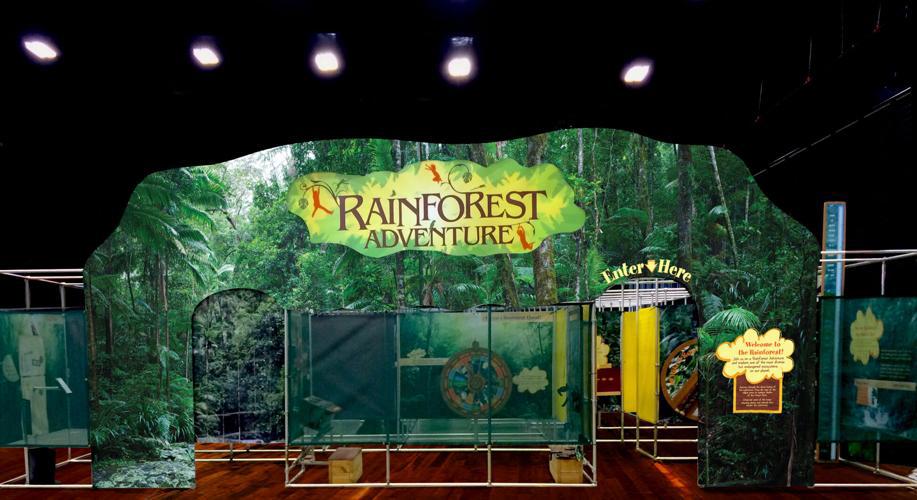 El 1 de abril abre sus puertas la exhibición “Rainforest Adventure” del Centro de Ciencias de Greensboro Rainforest Adventure